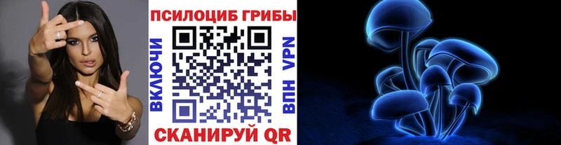 Купить где  Бронницы  Псилоцибиновые грибы MAGIC MUSHROOMS 
